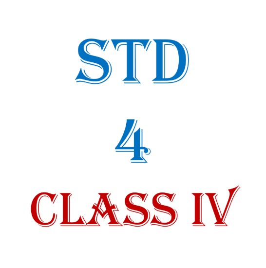 Picture of Std 4