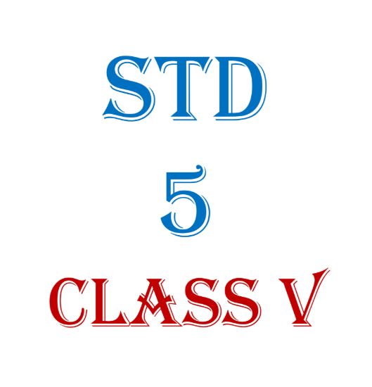 Picture of Std 5