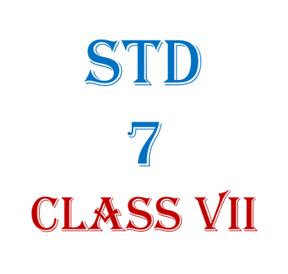 Picture of Std 7