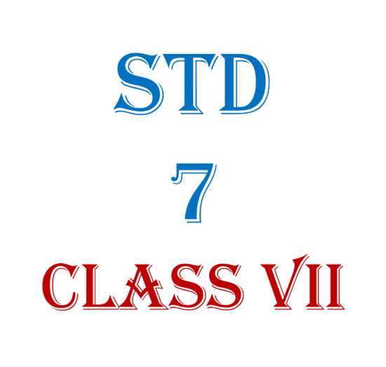 Picture of Std 7
